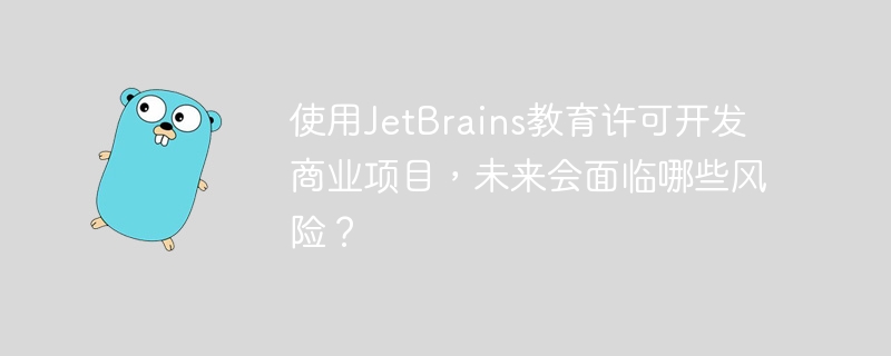 使用JetBrains教育许可开发商业项目，未来会面临哪些风险？