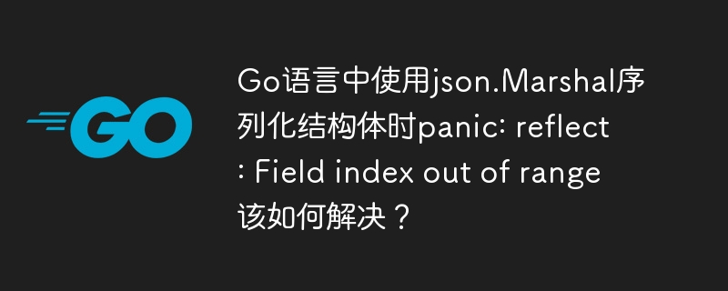 Go语言中使用json.Marshal序列化结构体时panic: reflect: Field index out of range该如何解决？