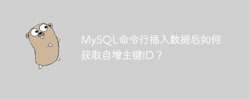 MySQL命令行插入数据后如何获取自增主键ID？