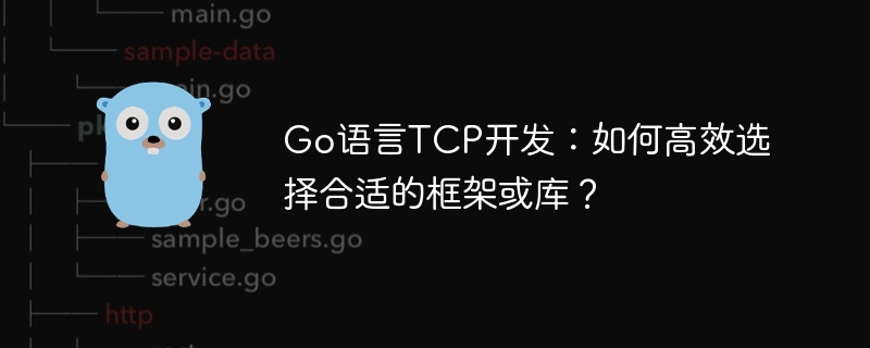 Go语言TCP开发：如何高效选择合适的框架或库？
