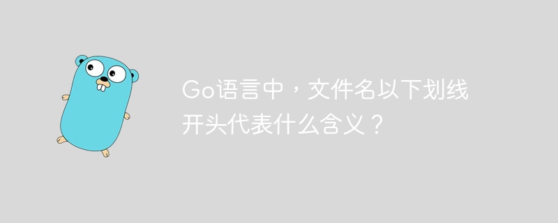 Go语言中，文件名以下划线开头代表什么含义？