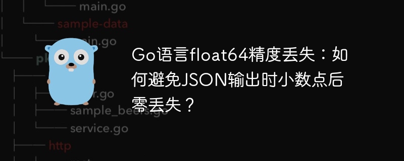 Go语言float64精度丢失：如何避免JSON输出时小数点后零丢失？
