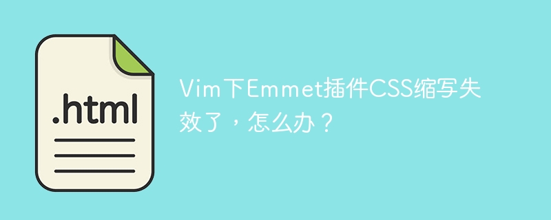 Vim下Emmet插件CSS缩写失效了，怎么办？