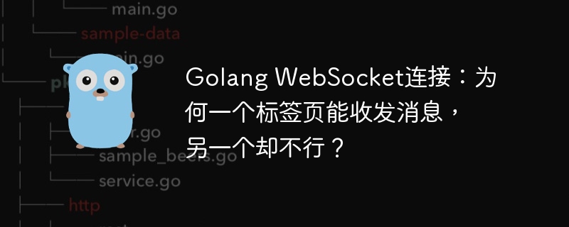 Golang WebSocket连接：为何一个标签页能收发消息，另一个却不行？