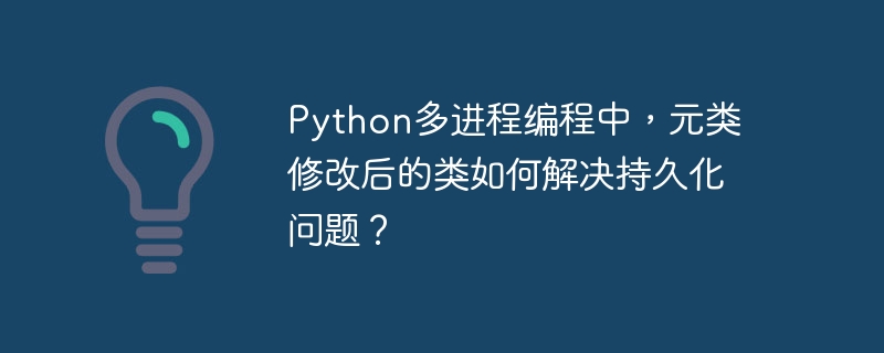 python多进程编程中，元类修改后的类如何解决持久化问题？