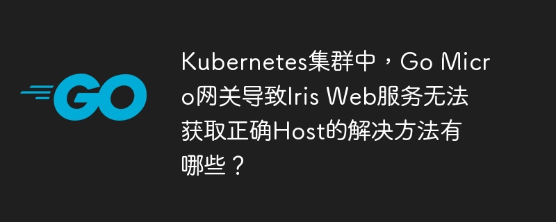 Kubernetes集群中，Go Micro网关导致Iris Web服务无法获取正确Host的解决方法有哪些？