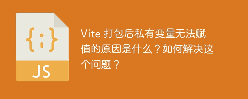 Vite 打包后私有变量无法赋值的原因是什么？如何解决这个问题？