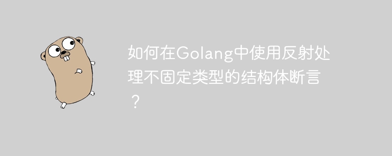 如何在Golang中使用反射处理不固定类型的结构体断言？