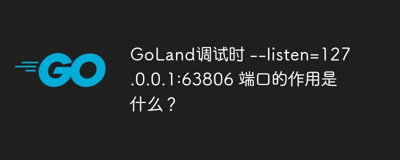 GoLand调试时 –listen=127.0.0.1:63806 端口的作用是什么？