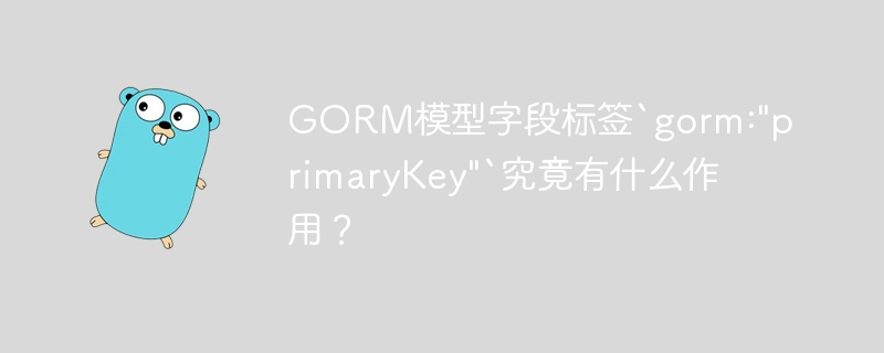 GORM模型字段标签`gorm:”primaryKey”`究竟有什么作用？