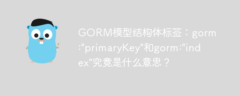 GORM模型结构体标签：gorm:”primaryKey”和gorm:”index”究竟是什么意思？