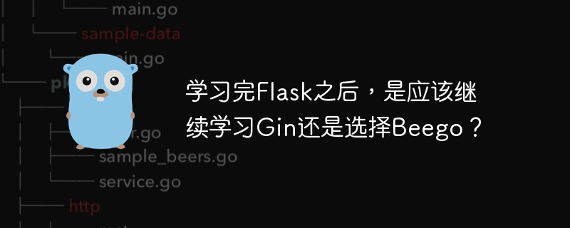 学习完Flask之后，是应该继续学习Gin还是选择Beego？