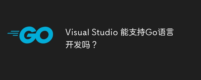Visual Studio 能支持Go语言开发吗？