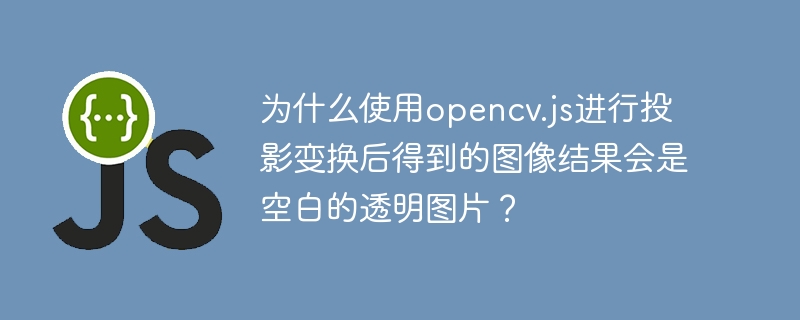 为什么使用opencv.js进行投影变换后得到的图像结果会是空白的透明图片？