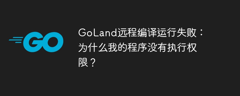 GoLand远程编译运行失败：为什么我的程序没有执行权限？