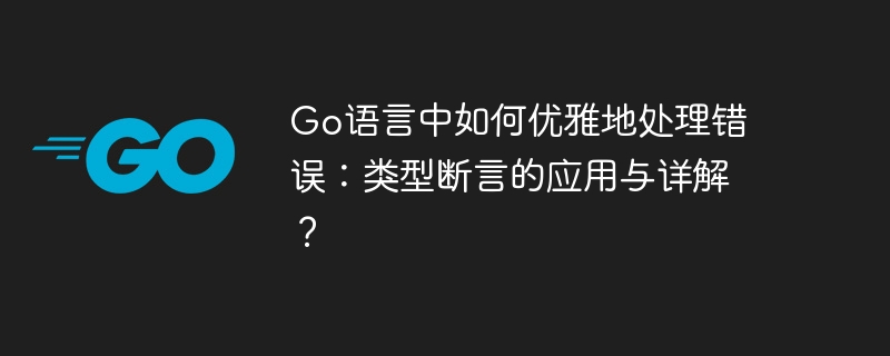Go语言中如何优雅地处理错误：类型断言的应用与详解？