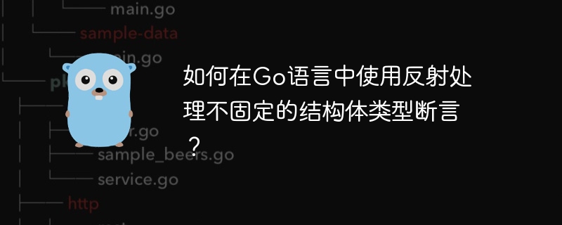 如何在Go语言中使用反射处理不固定的结构体类型断言？