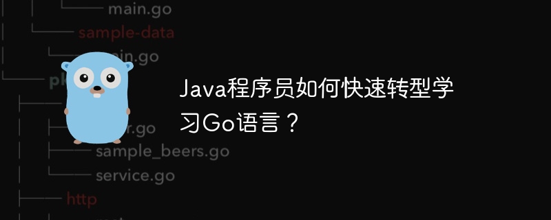 Java程序员如何快速转型学习Go语言？