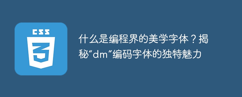 什么是编程界的美学字体？揭秘“dm”编码字体的独特魅力