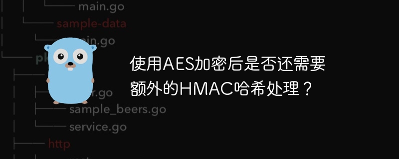 使用aes加密后是否还需要额外的hmac哈希处理？