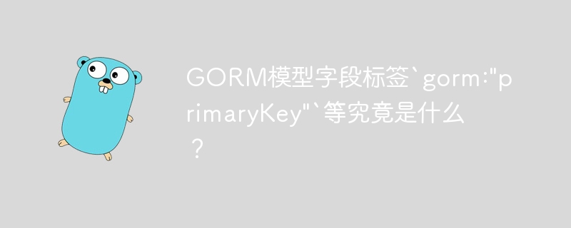 GORM模型字段标签`gorm:”primaryKey”`等究竟是什么？
