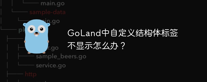 GoLand中自定义结构体标签不显示怎么办？