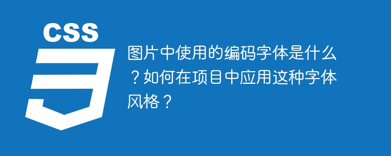 图片中使用的编码字体是什么？如何在项目中应用这种字体风格？