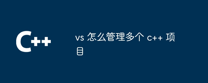vs 怎么管理多个 c++ 项目