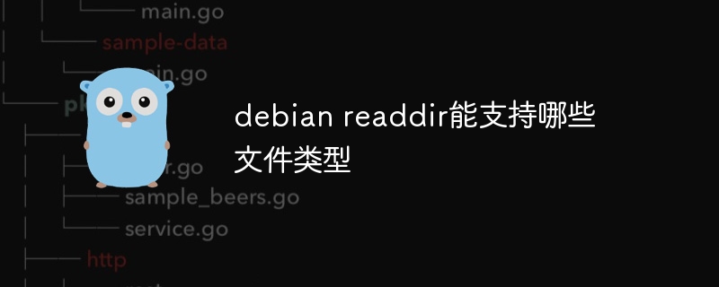 debian readdir能支持哪些文件类型