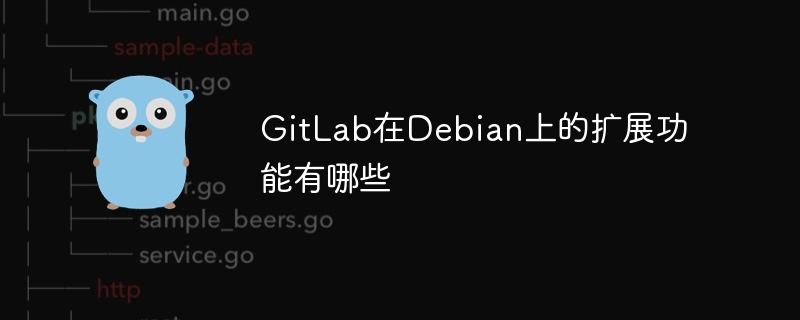GitLab在Debian上的扩展功能有哪些