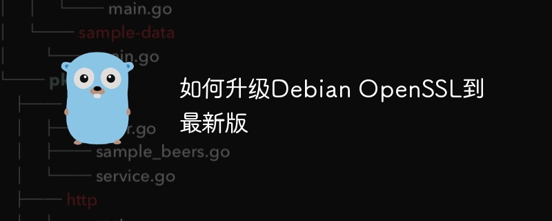 如何升级Debian OpenSSL到最新版