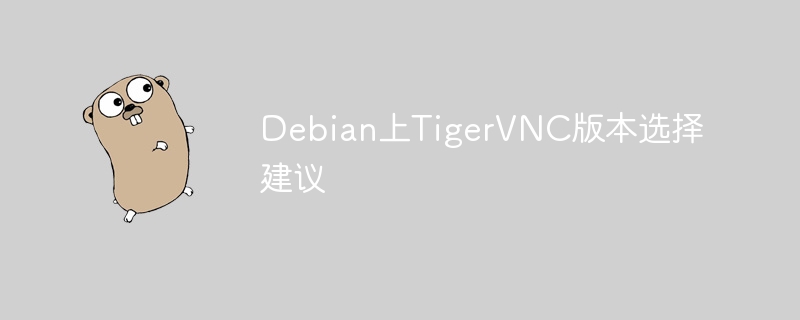Debian上TigerVNC版本选择建议