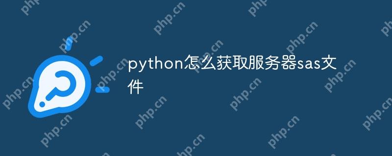 python怎么获取服务器sas文件