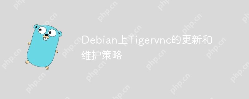 Debian上Tigervnc的更新和维护策略