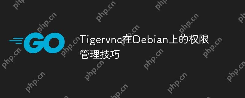 Tigervnc在Debian上的权限管理技巧