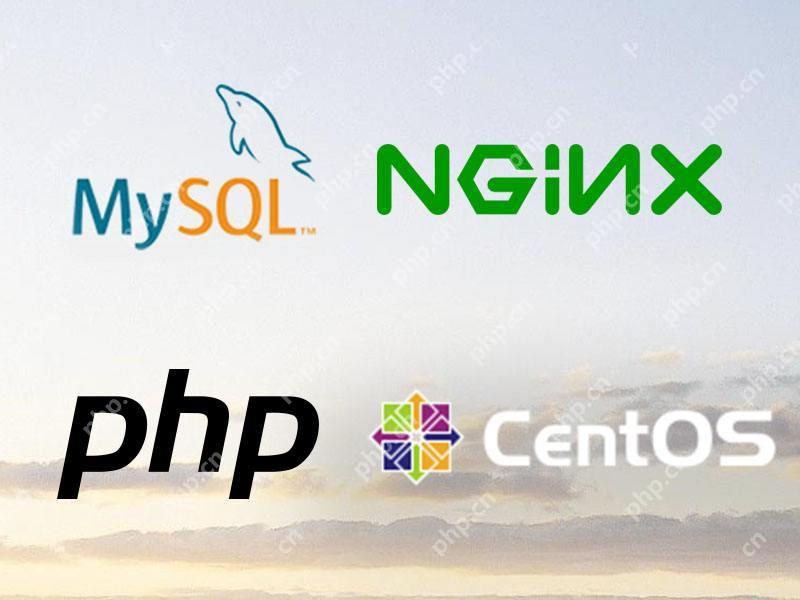 thinkphp8安装和初始化