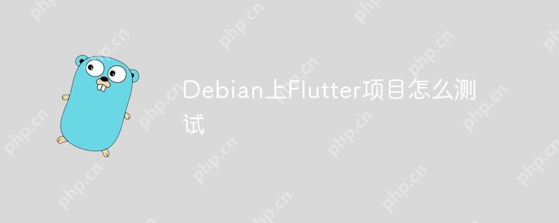 Debian上Flutter项目怎么测试