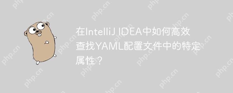 在IntelliJ IDEA中如何高效查找YAML配置文件中的特定属性？
