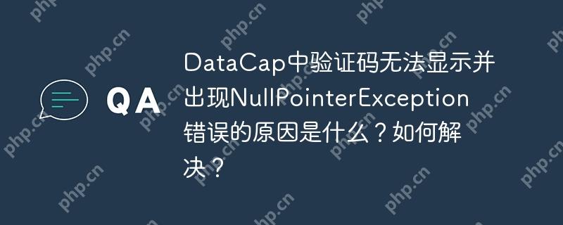DataCap中验证码无法显示并出现NullPointerException错误的原因是什么？如何解决？