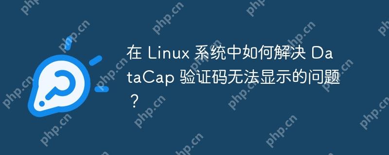 在 Linux 系统中如何解决 DataCap 验证码无法显示的问题？