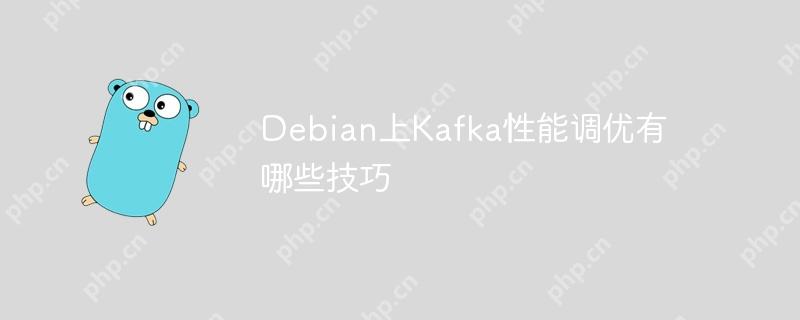 Debian上Kafka性能调优有哪些技巧