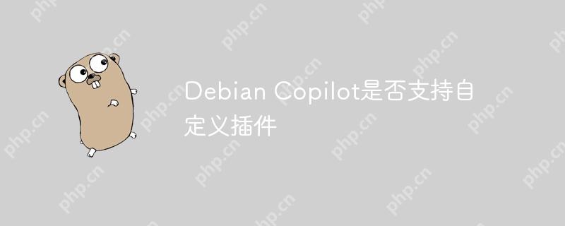Debian Copilot是否支持自定义插件
