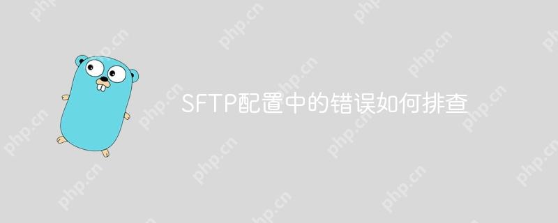 SFTP配置中的错误如何排查