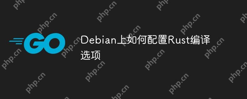 Debian上如何配置Rust编译选项