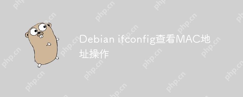 Debian ifconfig查看MAC地址操作
