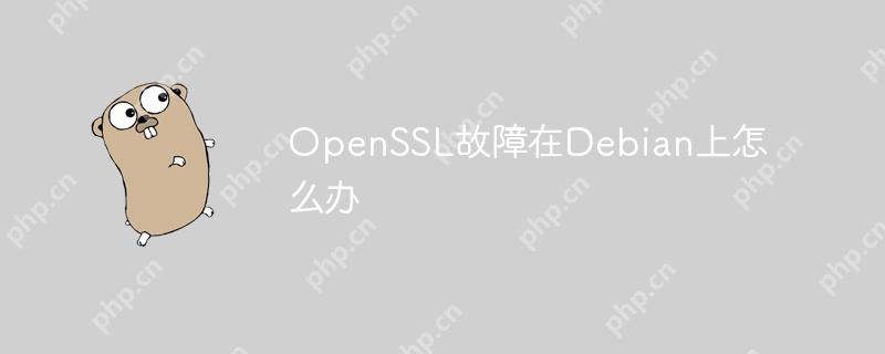 OpenSSL故障在Debian上怎么办