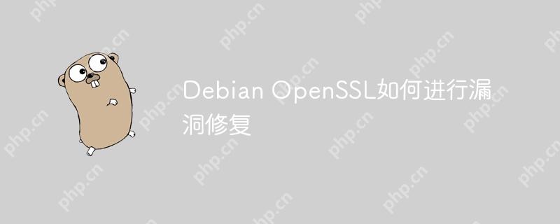 Debian OpenSSL如何进行漏洞修复