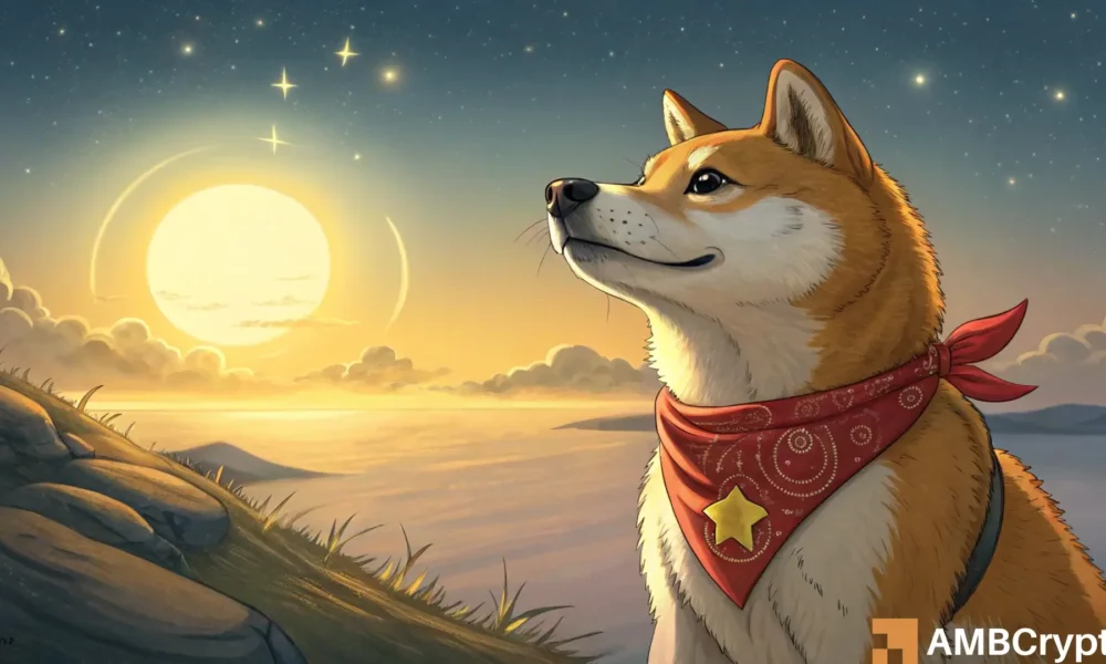 Dogecoin [Doge]准备集会到$ 0.30