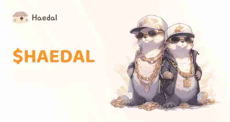 Haedal币空投震撼来袭！什么是 Haedal Protocol (HAEDAL)？一文介绍 - 创想鸟