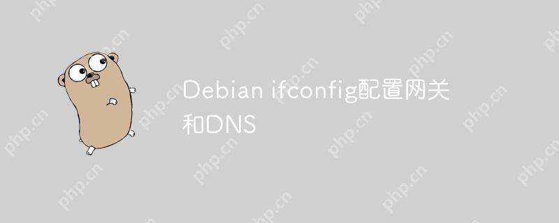 Debian ifconfig配置网关和DNS